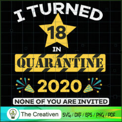 Birthday 17th in Quarantine 2020 SVG, Life Quotes SVG, Birthday SVG