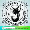 Australian Cattle dog copy